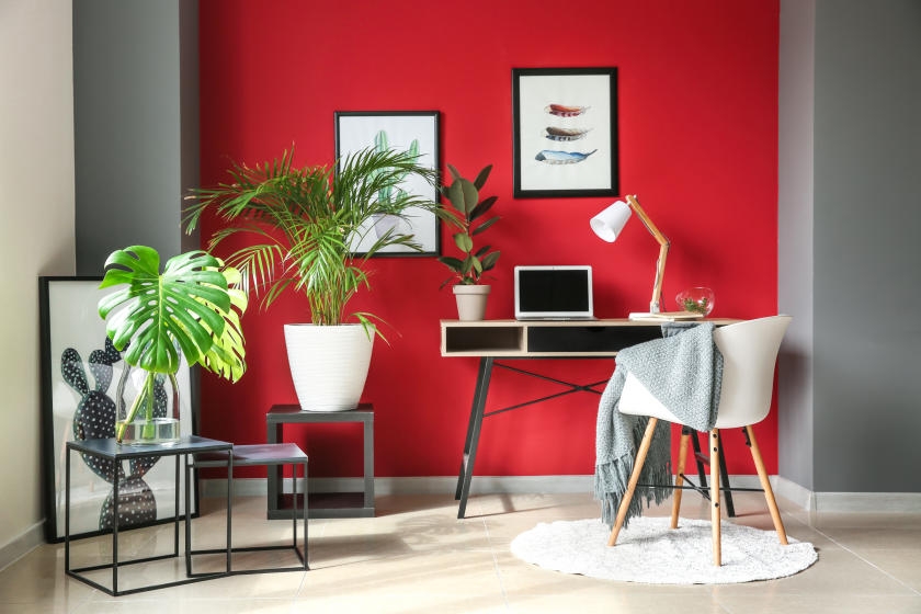 Office with bright red accent wall