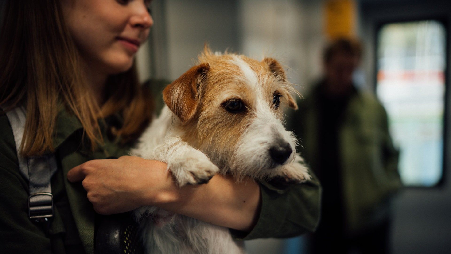 woman carrying esa dog at airport