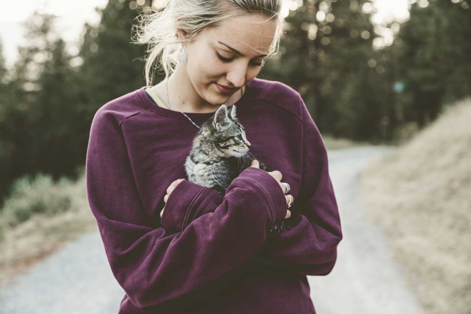 Yes, cats can be emotional support animals. We walk through in detail how to have your furry friend qualify and get certified as an ESA.