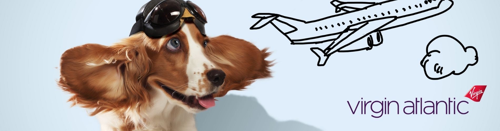 Virgin Atlantic Emotional Support Animal (ESA) and Psychiatric Service Dog  Policy