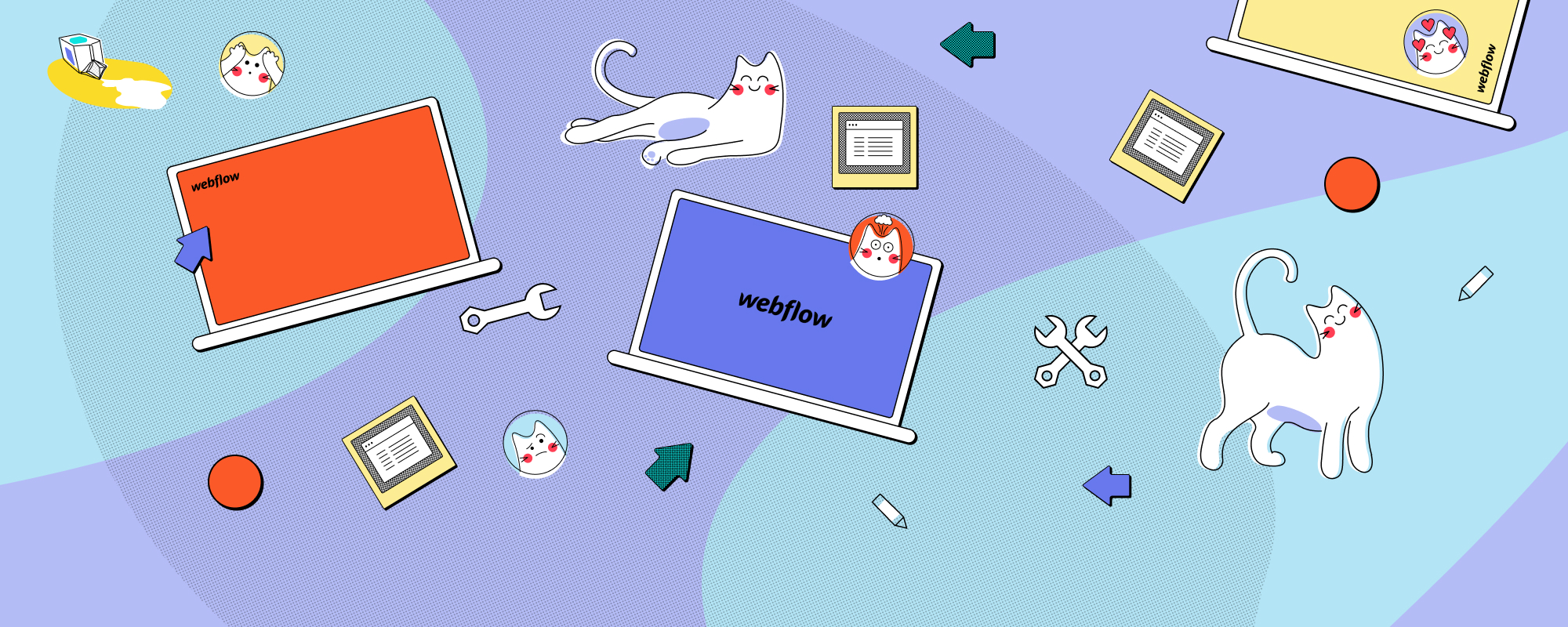 Snaplet illustration for PII blog post