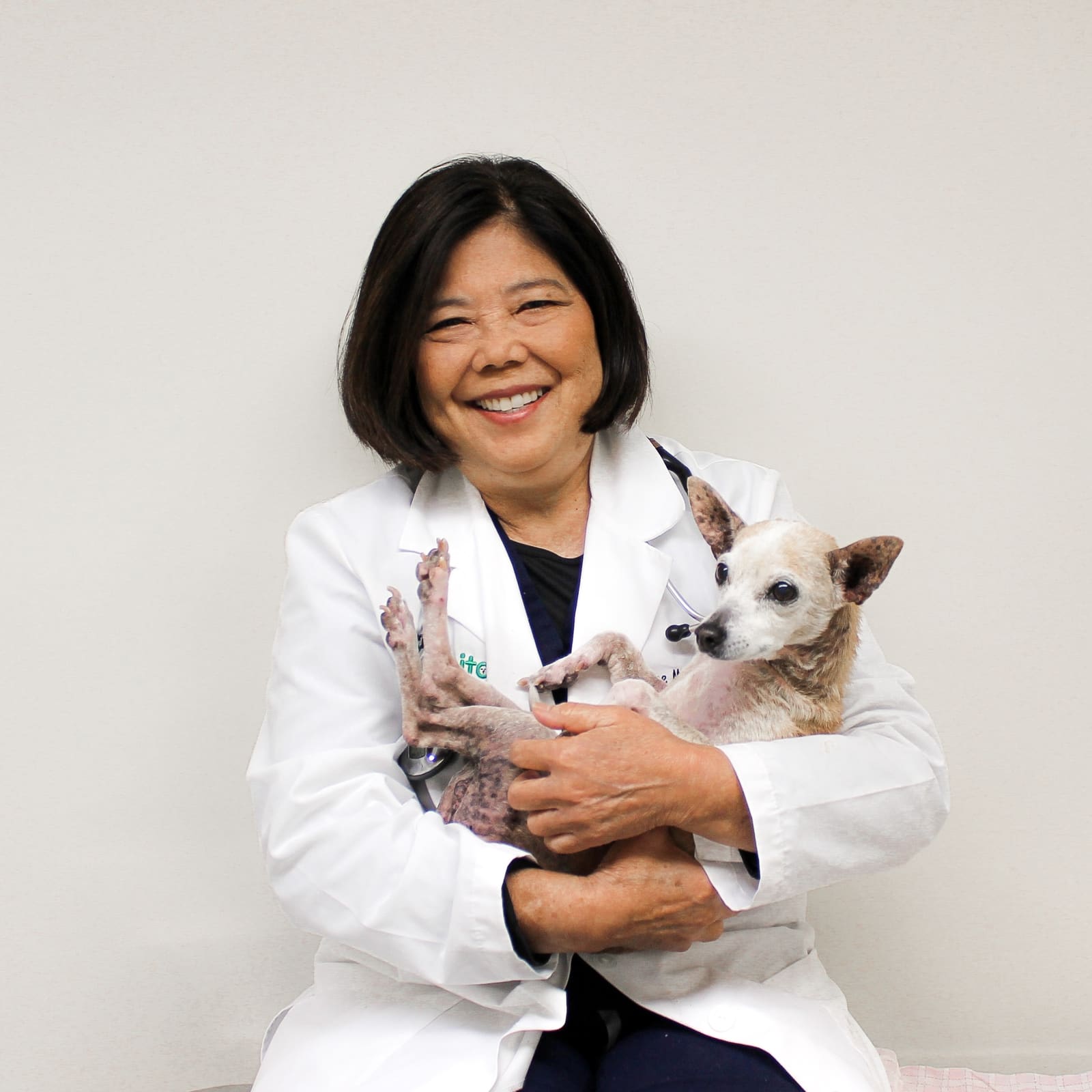 About Kaka'ako Pet Hospital Honolulu, HI Veterinarian