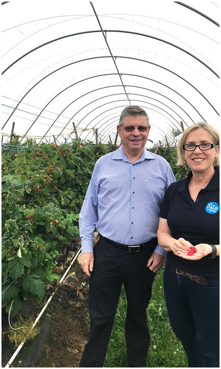Harry Debney, CEO of Costa Group, & Ros Harvey, Founder & Managing Director of The Yield, at a Costa berry farm in NSW.