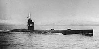 Ha-202