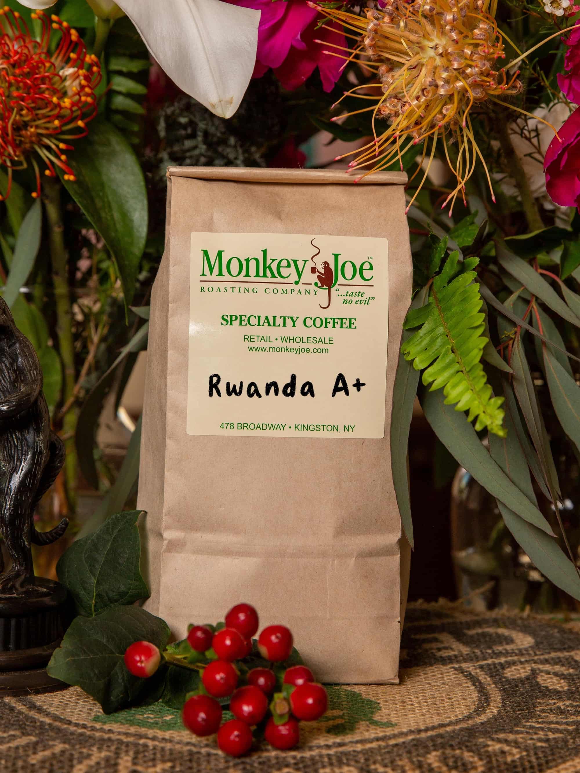 Home [www.monkeyjoe.com]