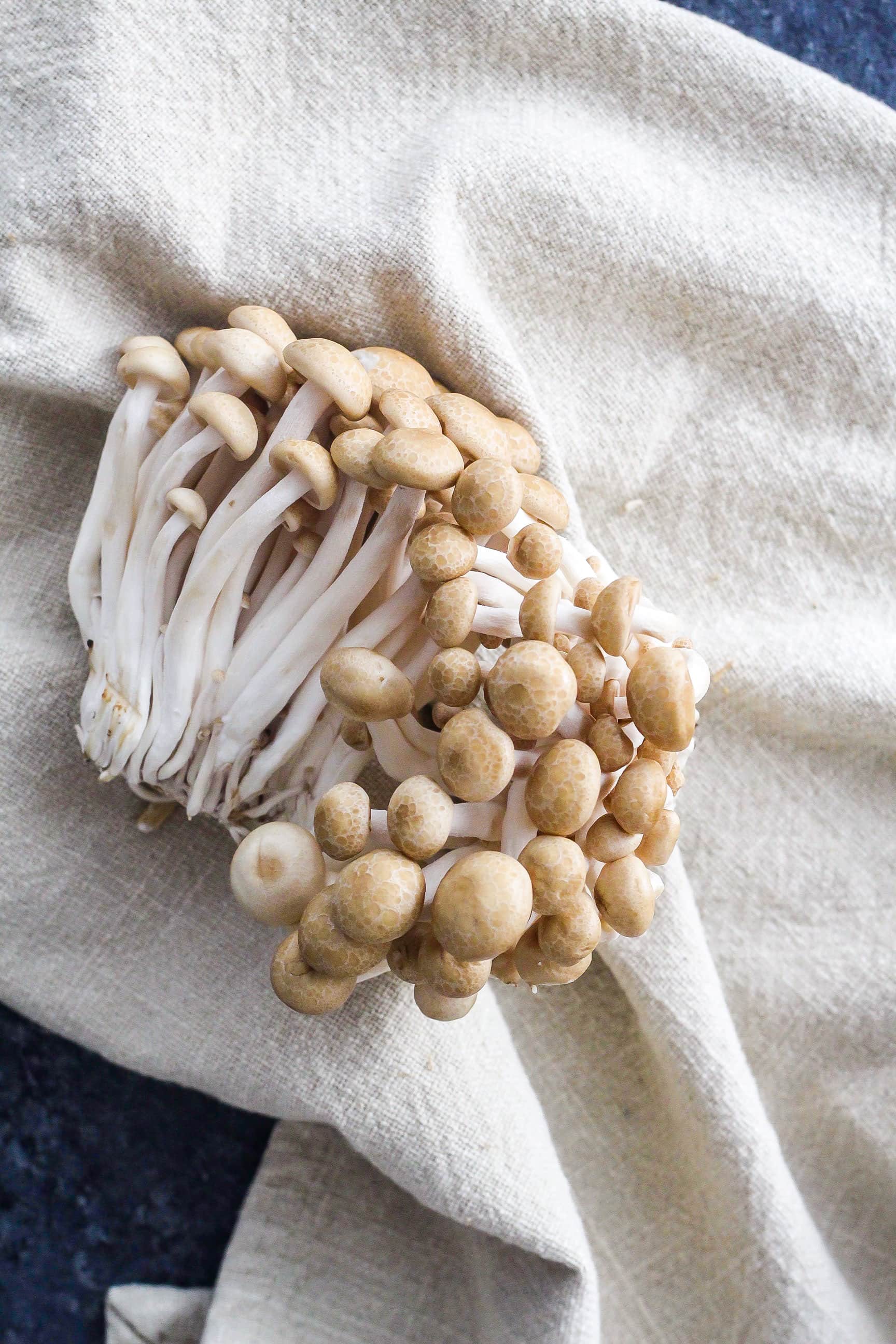 mushrooms on linen