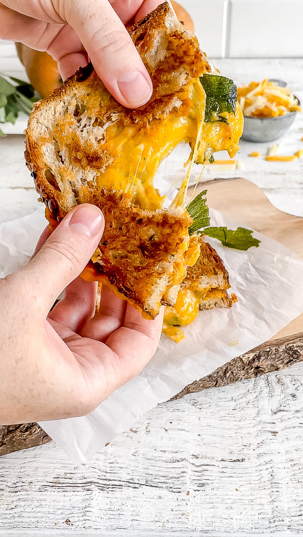 butternut squash grilled cheese