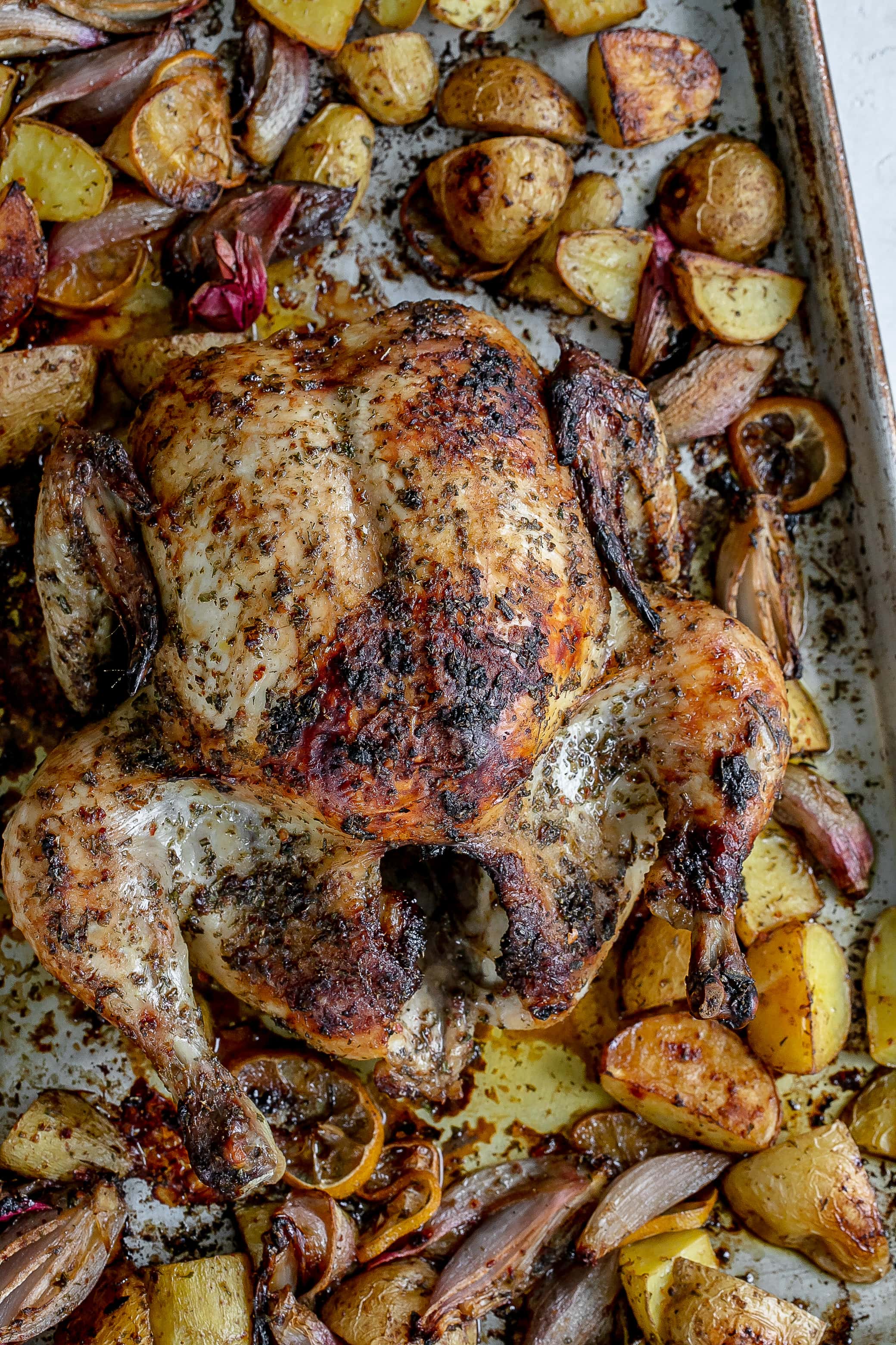 Whole Greek roast chicken on a sheet pan.