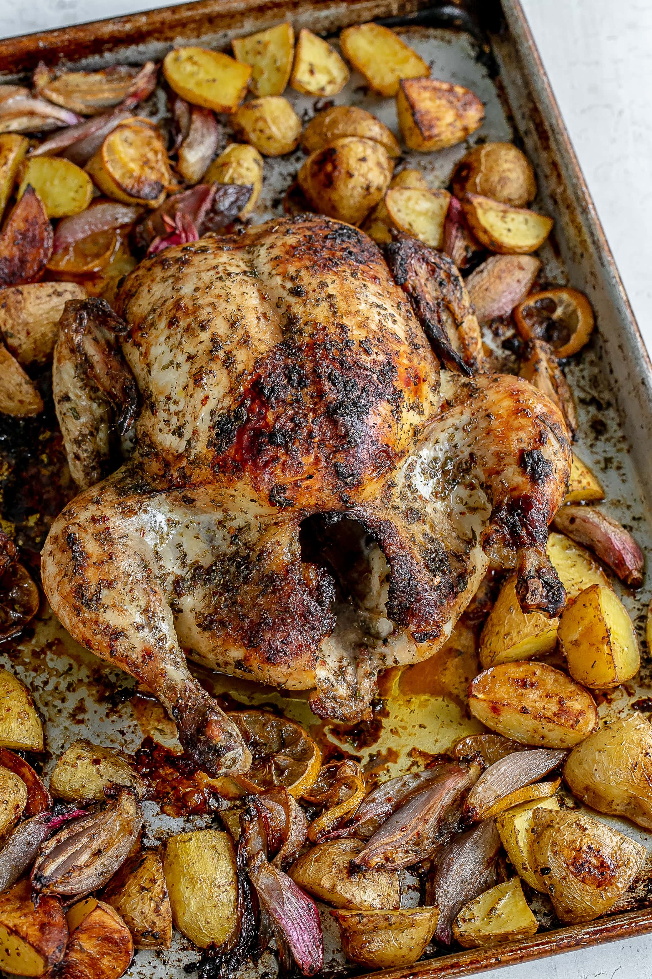 Whole Greek roast chicken on a sheet pan with potatoes.