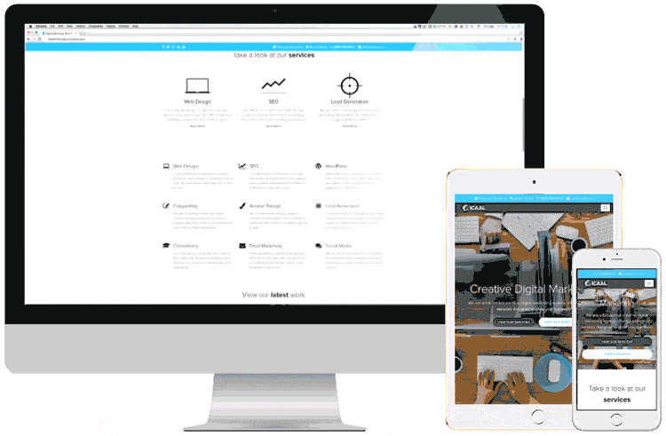 curso de webflow em portugues