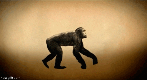 Era uma vez... a História do Marketing Digital! Conheça sua origem e evolução!