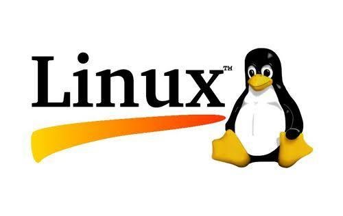 Quais são os softwares mais utilizados do mundo?