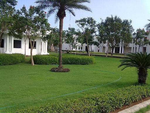 Lawn 13
