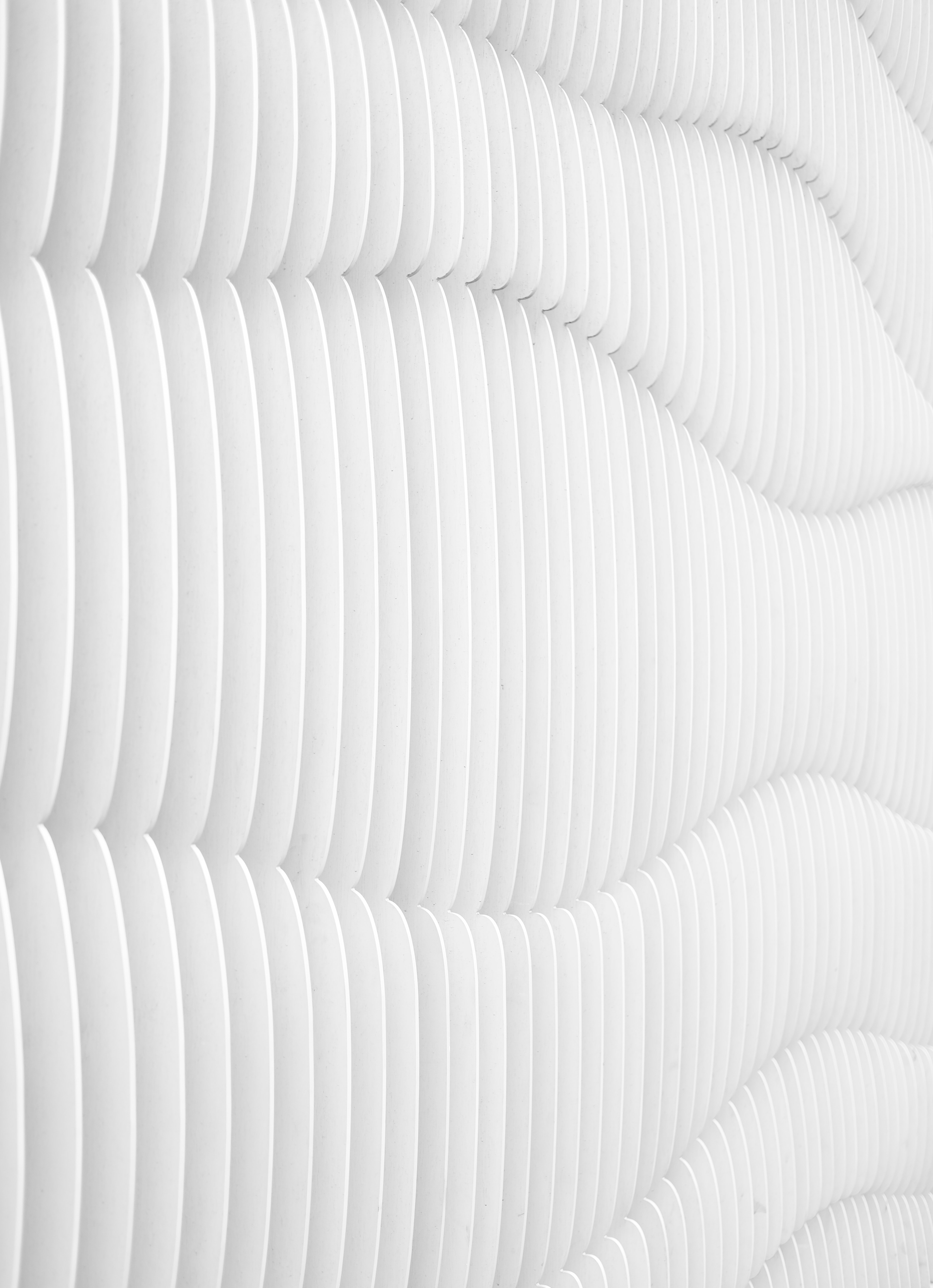 Рибофлавин витамин для чего нужен витамин и в чем содержится | bioniq MEDIA