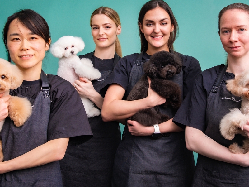 The London Dog Grooming Company
