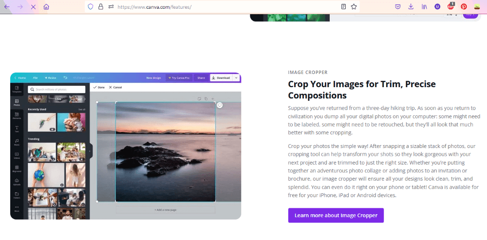 canva - writing copy for websites examples