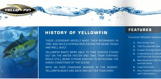 Varied fonts in Yellowfin’s brochure example - how to write a brochure