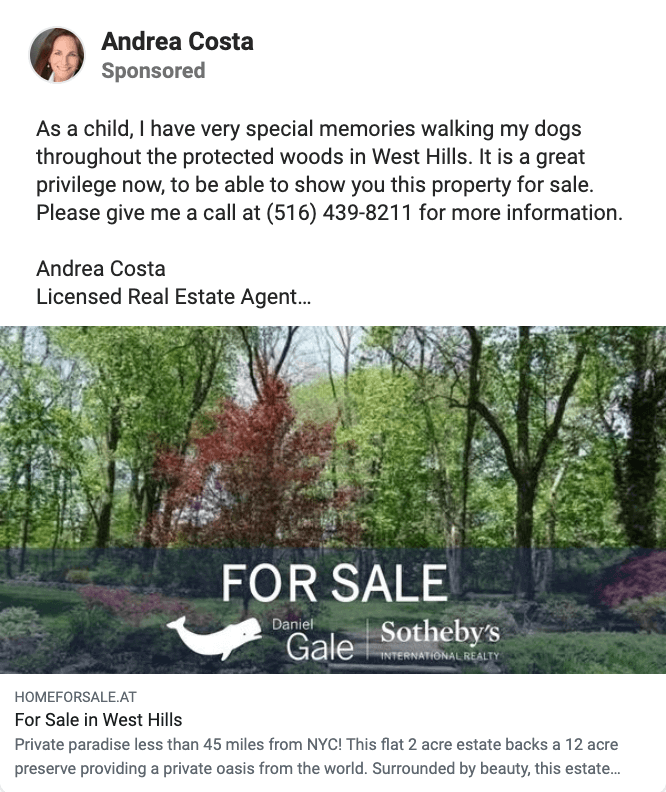 real estate ad example 3