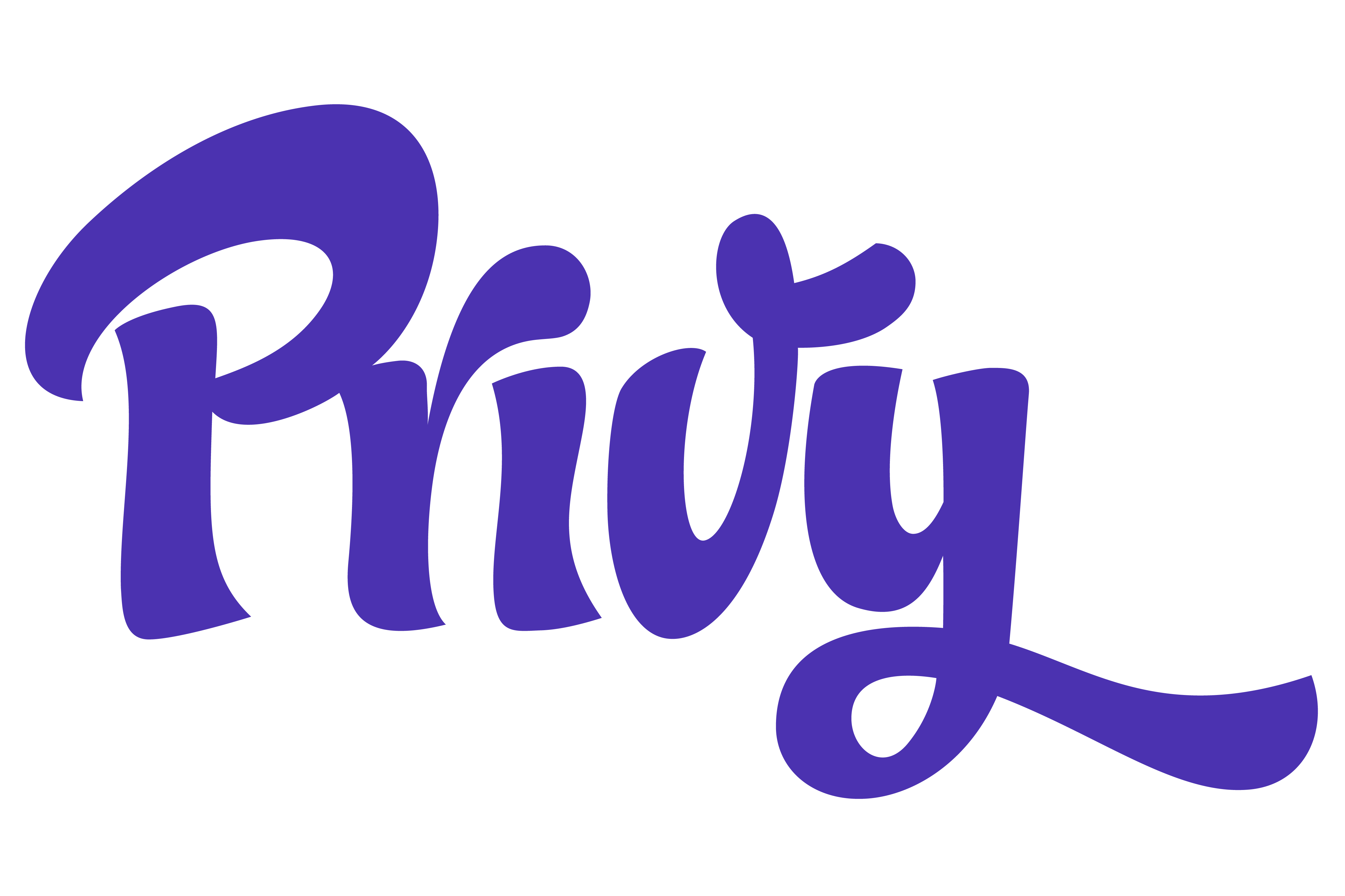 Privy logo