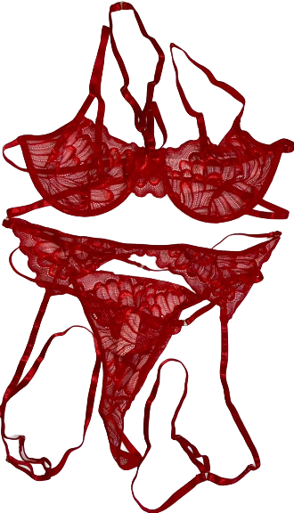 a red lace lingerie set with a choker