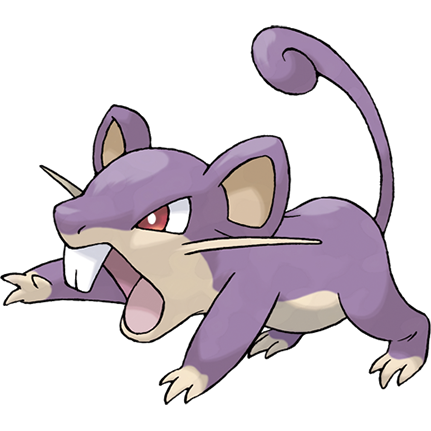 019Rattata