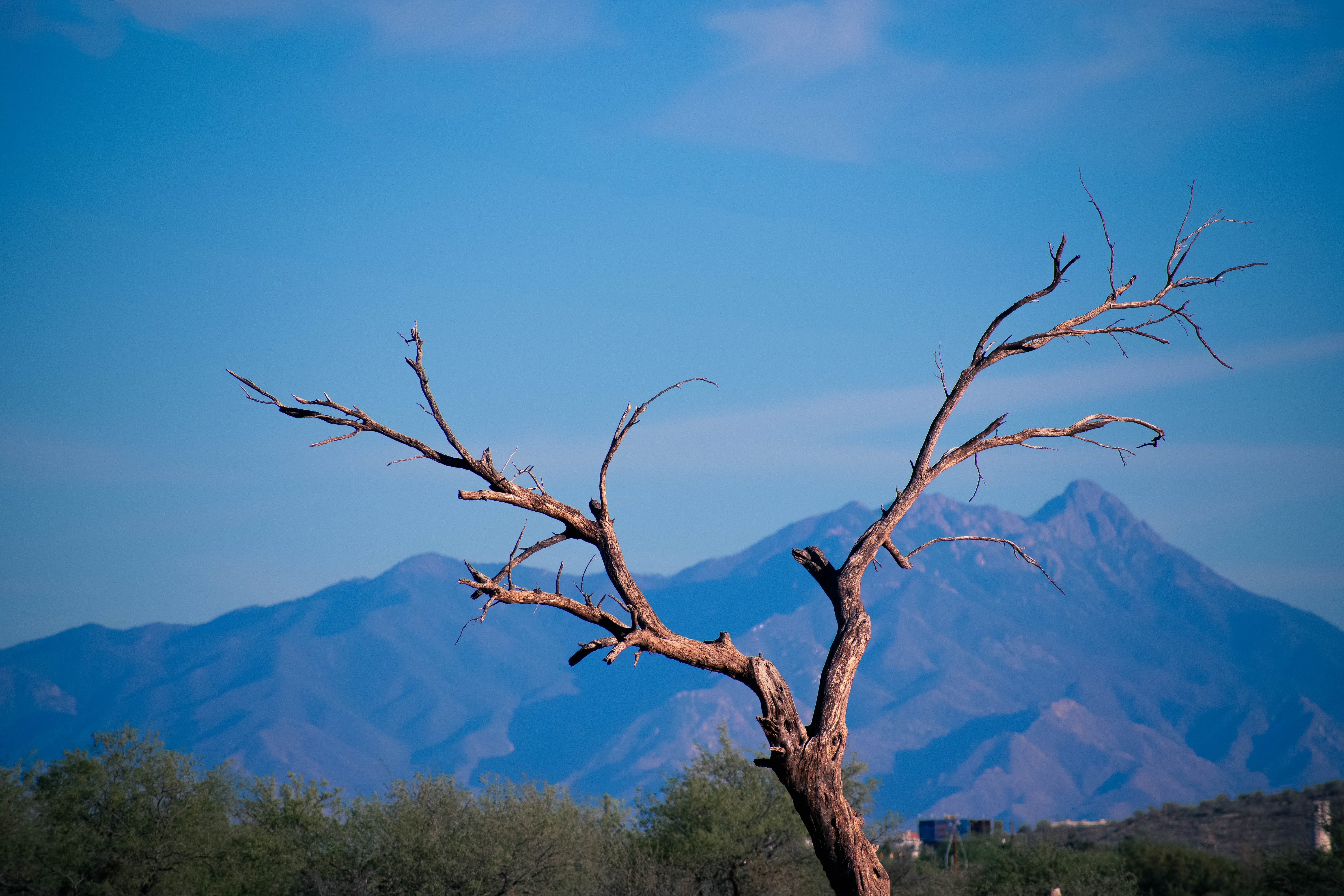 a desert scene from outside of tucson arizona