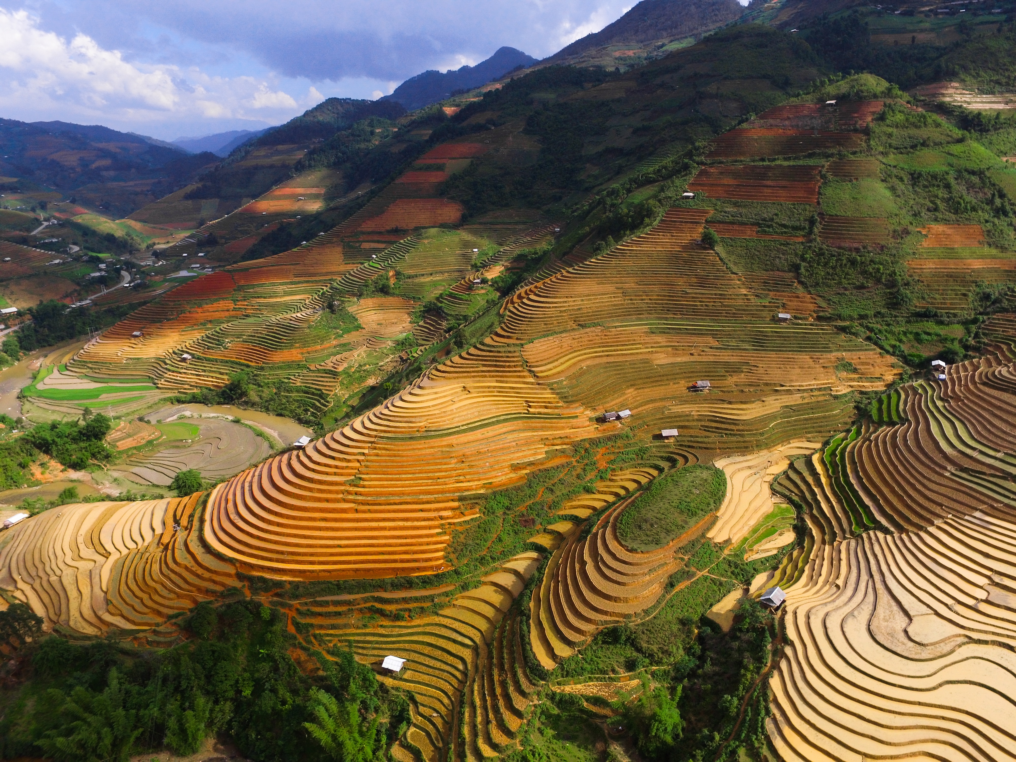 A picture of Vietnam, for our Vietnamese names