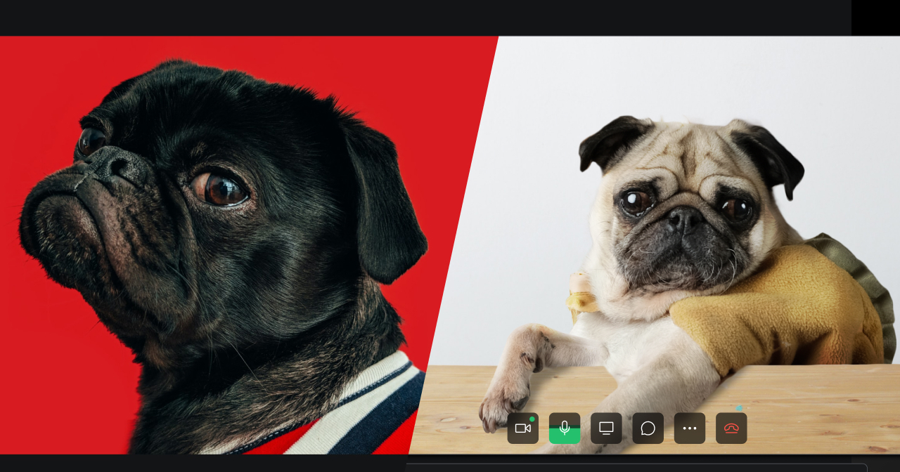 that is supposed to illusrate the point of to consider Meetsales over other, well-known video platforms