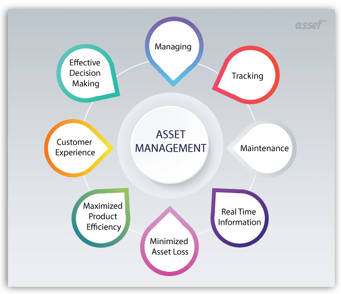 Important factors of an Asset Management Software