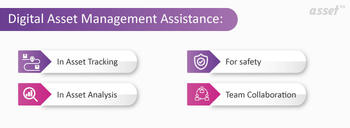 Digital Asset Management Assistance