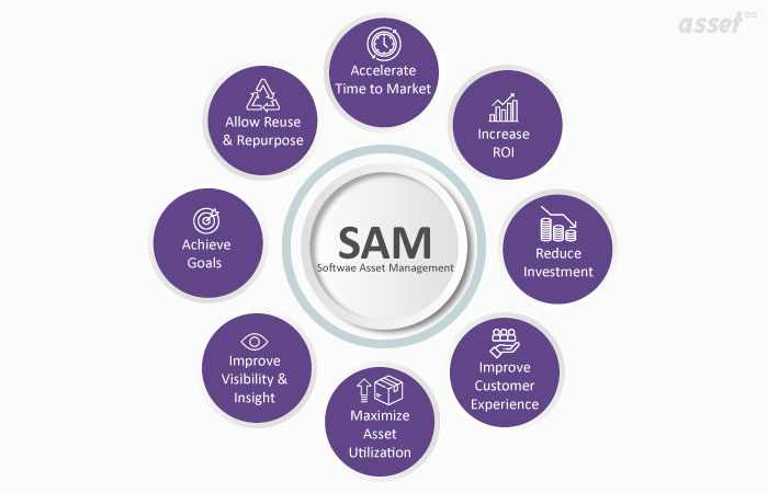 Software Asset Management