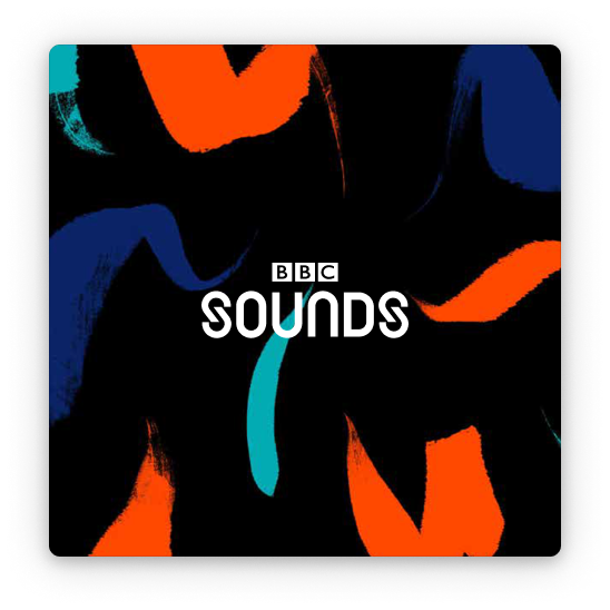 Our Work Digital Voices’ Case Studies