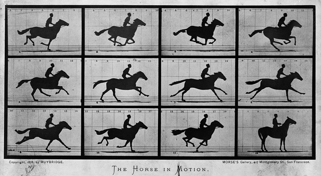 Visual storytelling in 1878 - The Horse in Motion