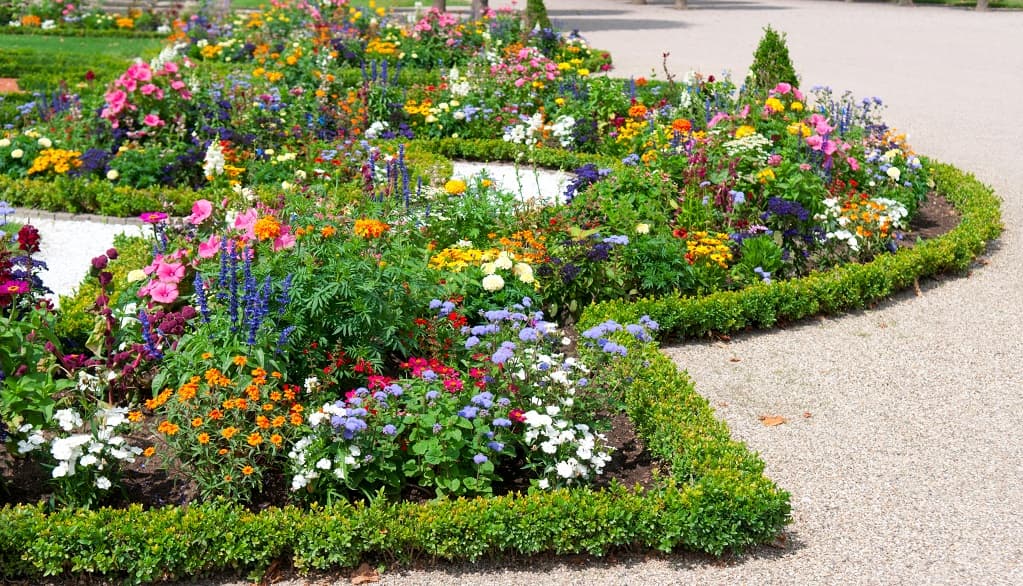 Flower Bed Creation for Commercial Property