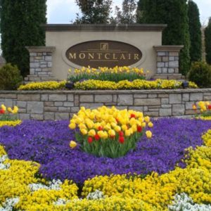 Adding landscaping around your business sign can be an effective way to make your business stand out.