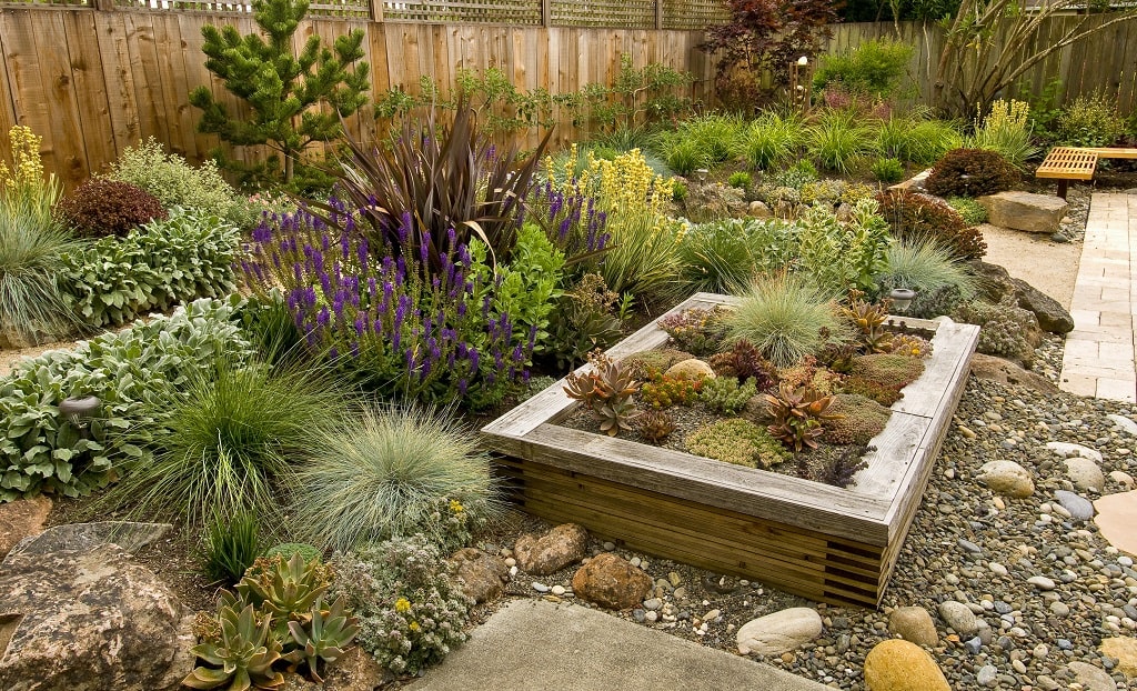 Rock Design Backyard