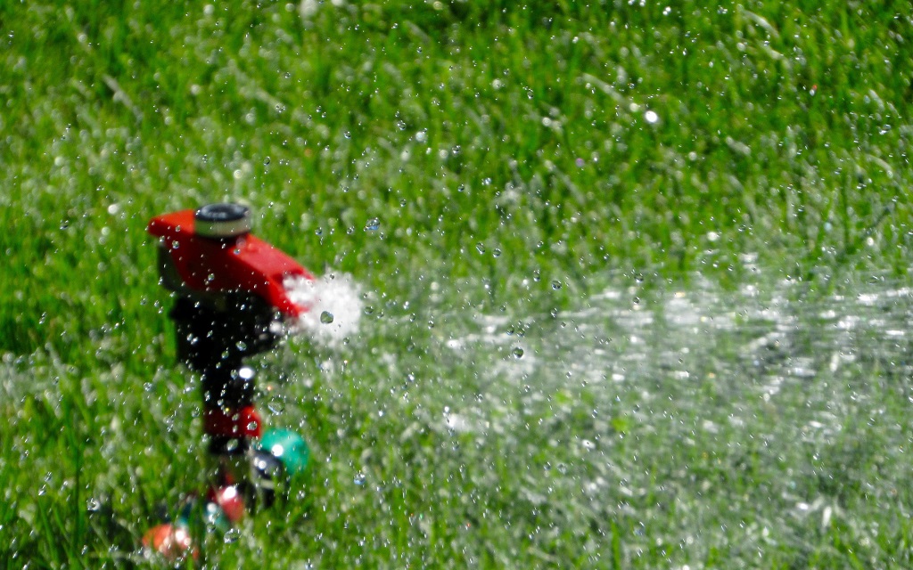 Lawn Watering Mistakes