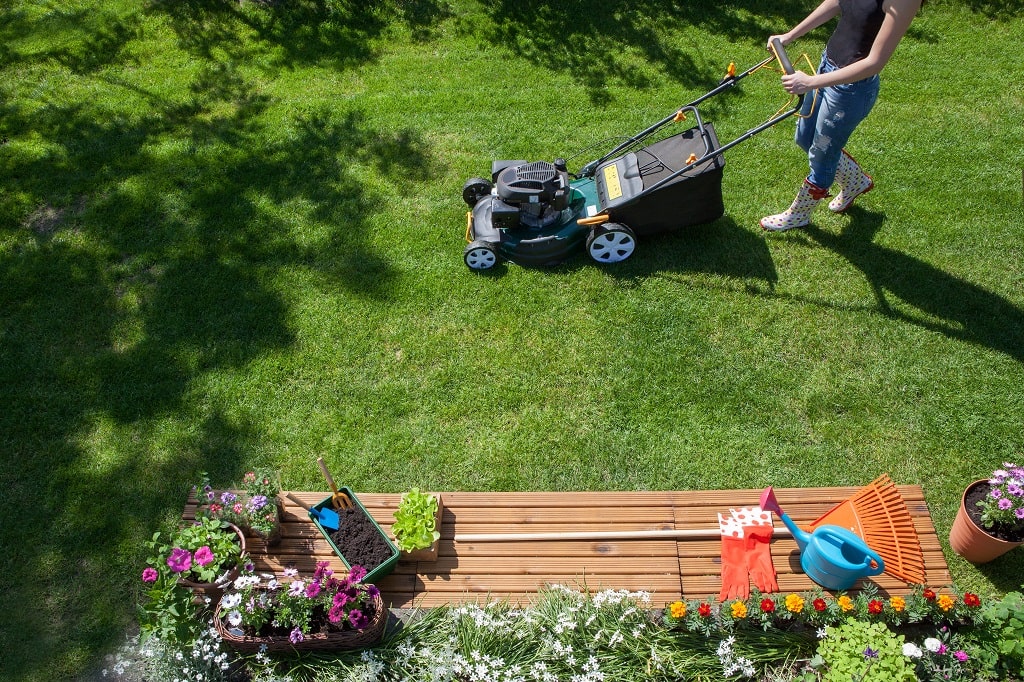 How to Prepare Your Yard for Spring