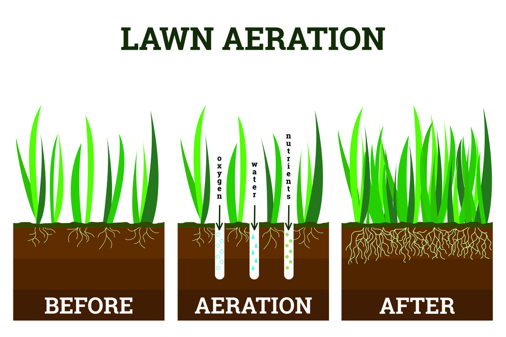 Lawn Aeration Process