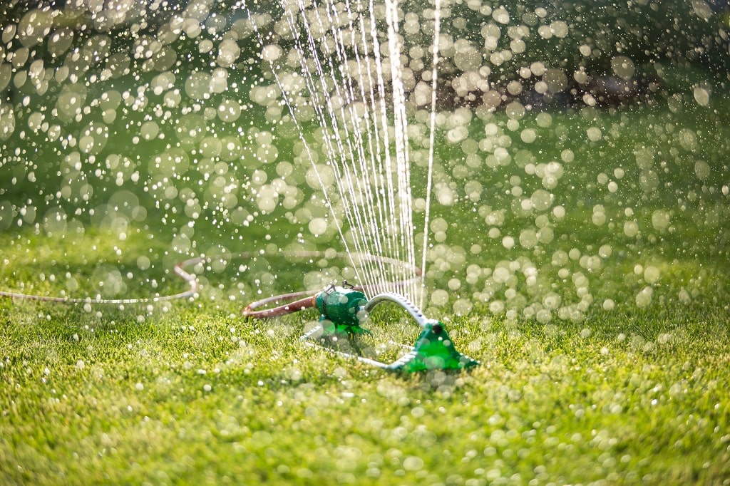 Lawn Watering Guide