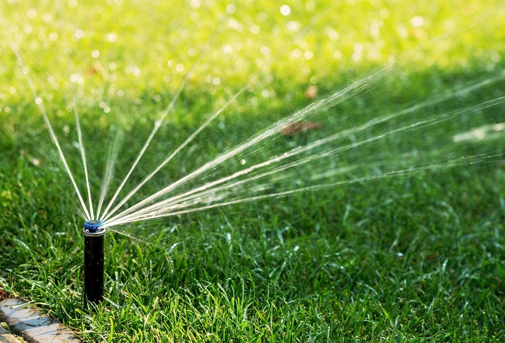 Lawn Types Watering