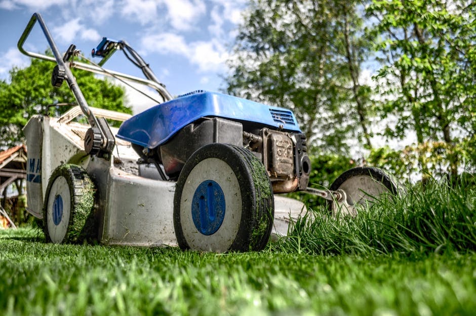 Mowing the lawn for the first time in spring.