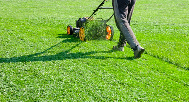 Lawn Care Worker