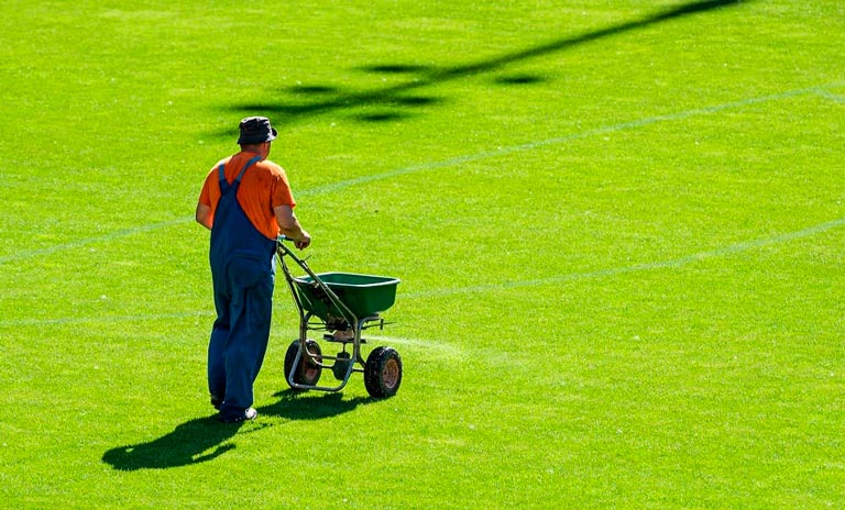Fertilizer for Your Lawn