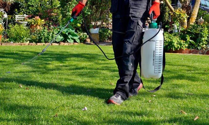 Types of Lawn Fertilizers
