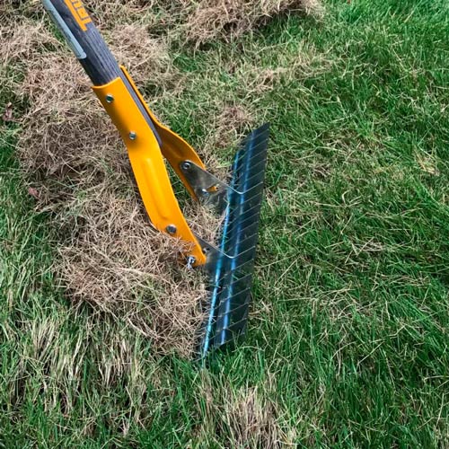 Specialized rake for dethatching a lawn