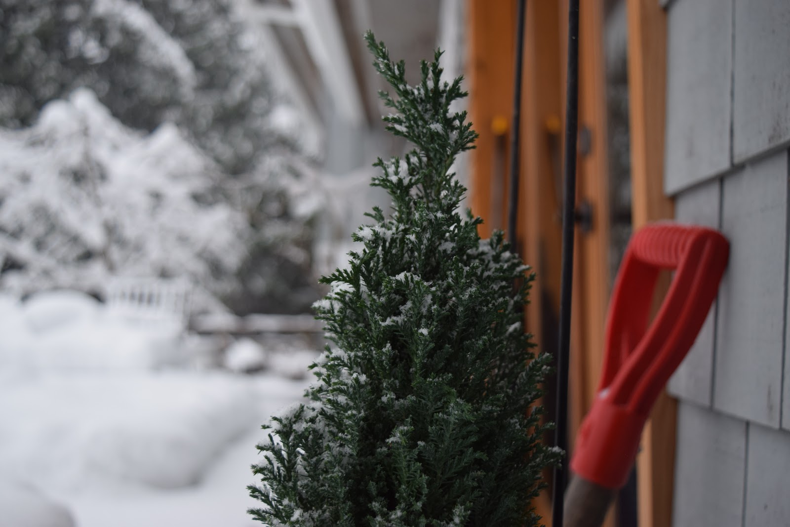 Removing Snow for the Safety Of Your Customers