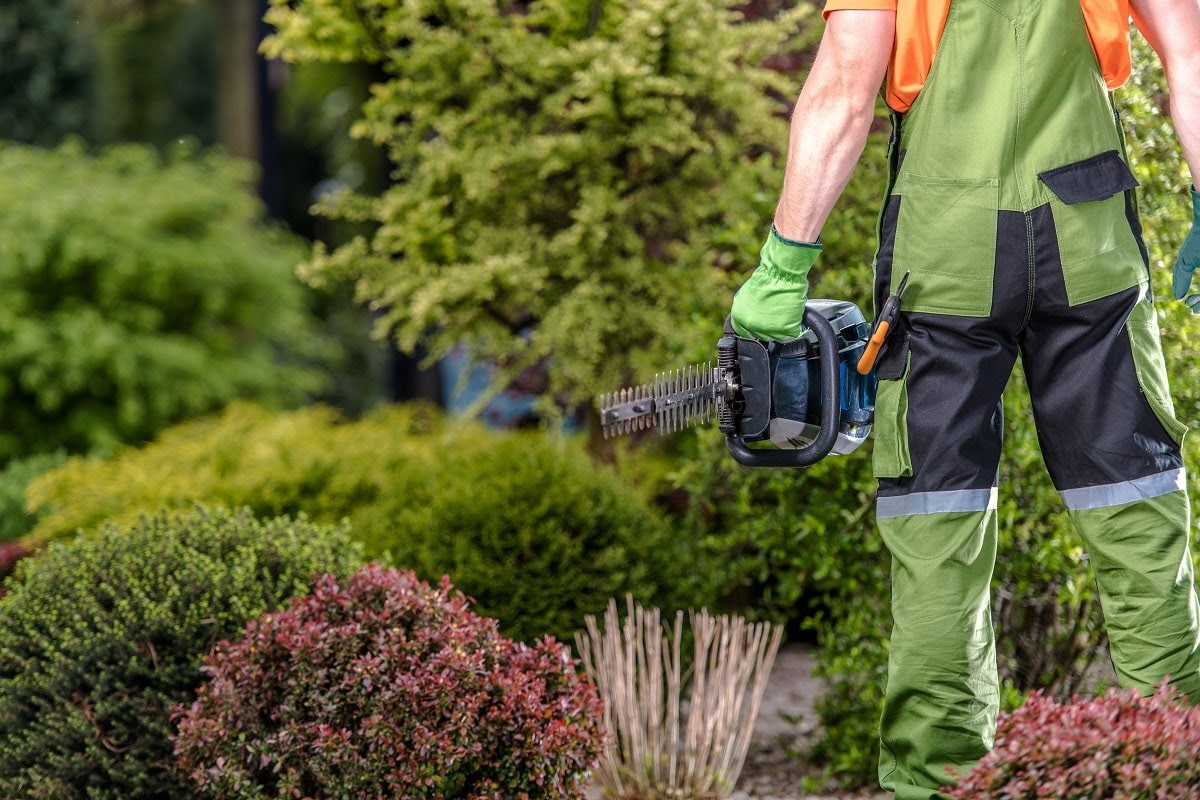 Why Our Clients Say That We Are the Best Commercial Landscape Contractor in Wausau