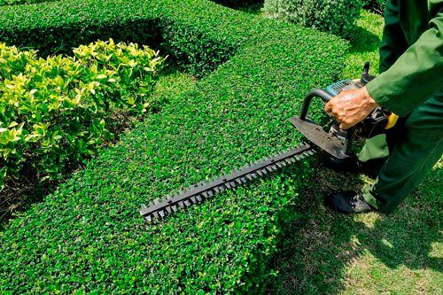 Why Our Clients Say That We Are the Best Commercial Landscape Contractor in Stevens Point
