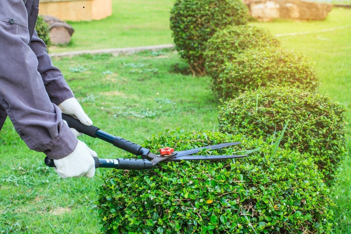 Why Our Clients Say That We Are the Best Commercial Landscape Contractor in Eau Claire